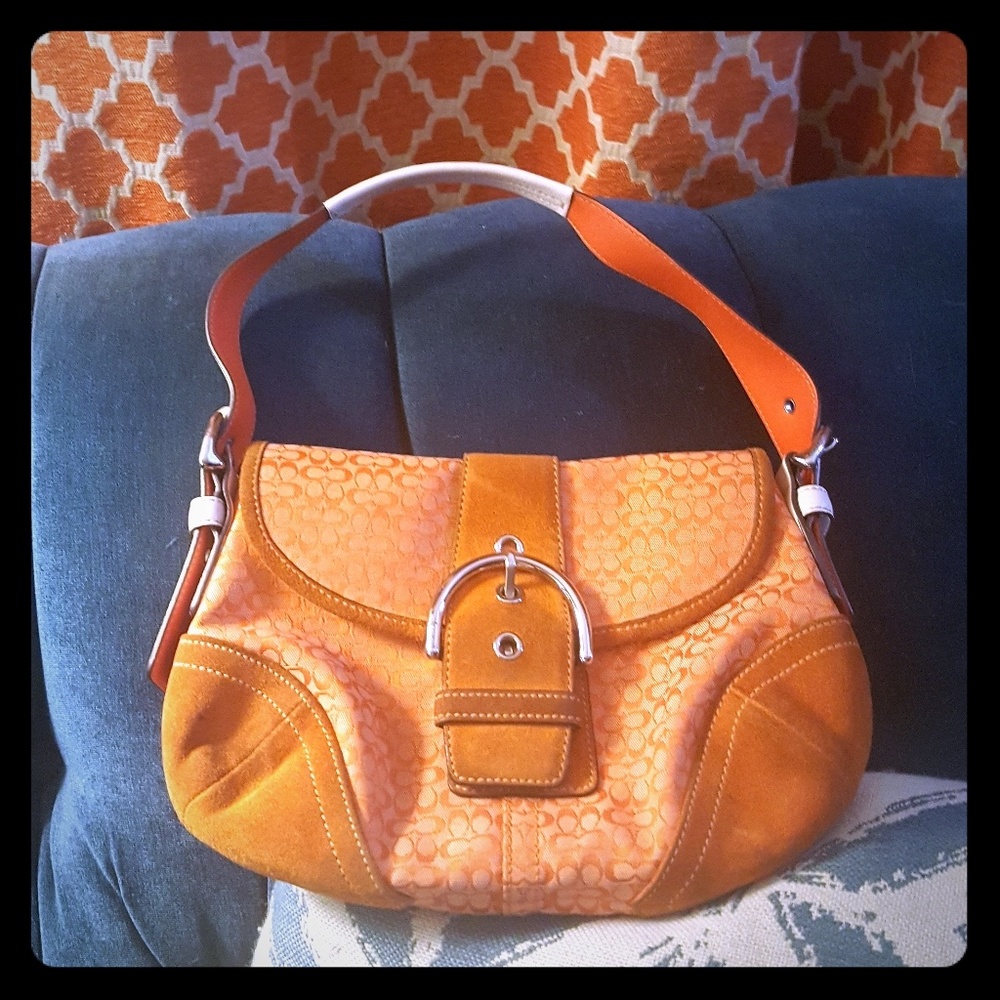 Perfect little handbag for the orange fanatic!